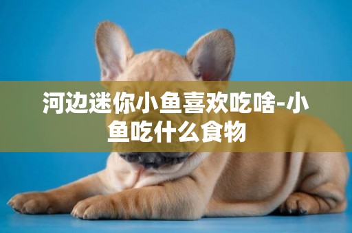 河邊迷你小魚喜歡吃啥-小魚吃什么食物