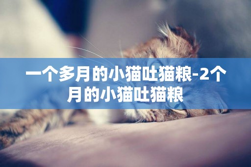 一個多月的小貓吐貓糧-2個月的小貓吐貓糧