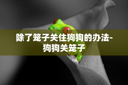 除了籠子關住狗狗的辦法-狗狗關籠子