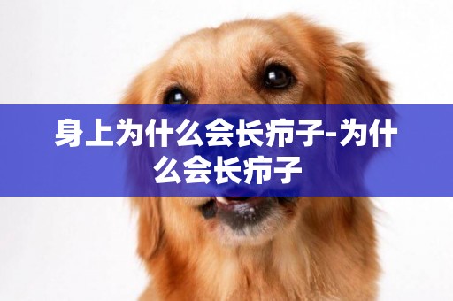 身上為什么會長癤子-為什么會長癤子