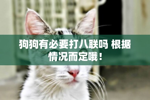 狗狗有必要打八聯嗎 根據情況而定哦！