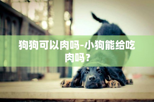 狗狗可以肉嗎-小狗能給吃肉嗎？