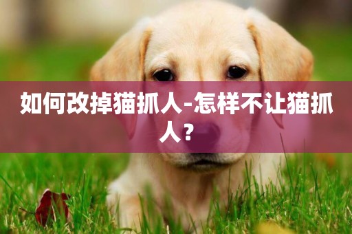 如何改掉貓抓人-怎樣不讓貓抓人？