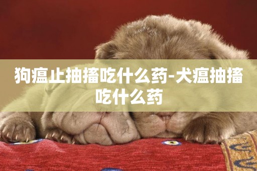 狗瘟止抽搐吃什么藥-犬瘟抽搐吃什么藥