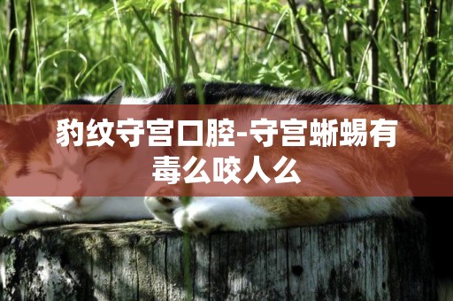 豹紋守宮口腔-守宮蜥蜴有毒么咬人么