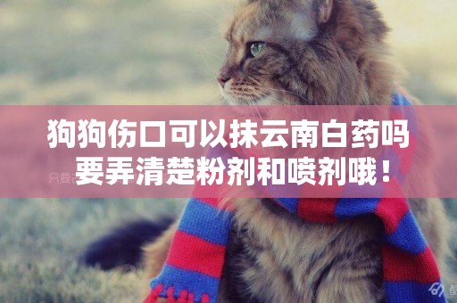 狗狗傷口可以抹云南白藥嗎 要弄清楚粉劑和噴劑哦！