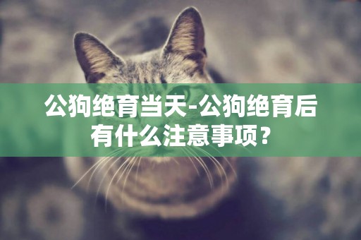 公狗絕育當天-公狗絕育后有什么注意事項？