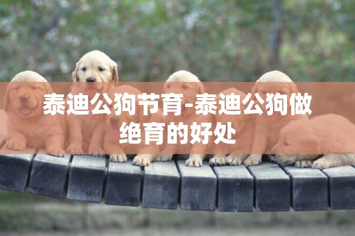 泰迪公狗節育-泰迪公狗做絕育的好處