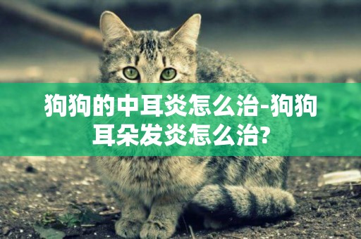 狗狗的中耳炎怎么治-狗狗耳朵發炎怎么治?