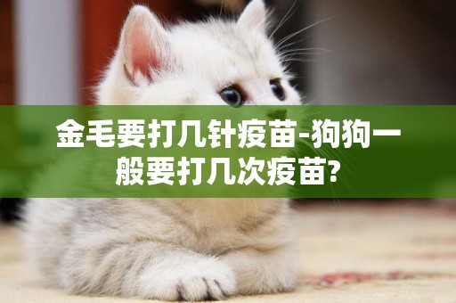 金毛要打幾針疫苗-狗狗一般要打幾次疫苗?