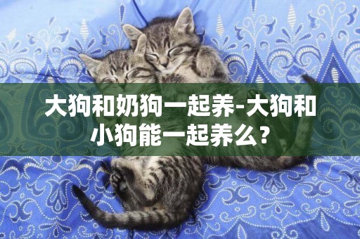 大狗和奶狗一起養-大狗和小狗能一起養么？