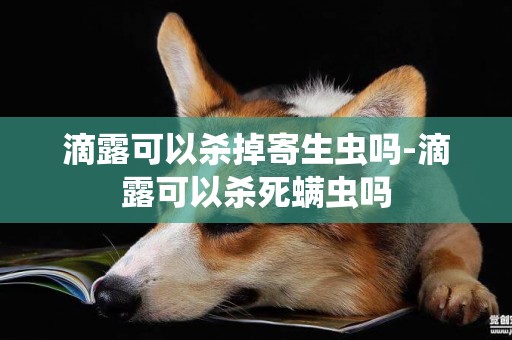 滴露可以殺掉寄生蟲嗎-滴露可以殺死螨蟲嗎