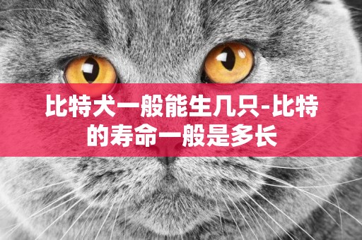 比特犬一般能生幾只-比特的壽命一般是多長