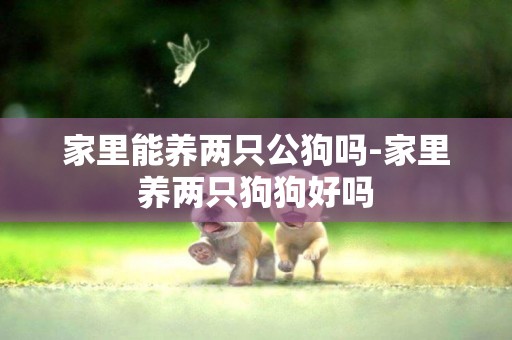 家里能養兩只公狗嗎-家里養兩只狗狗好嗎