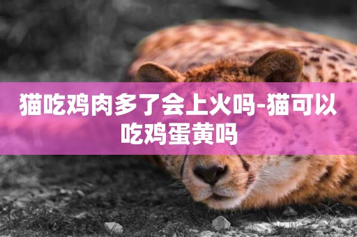 貓吃雞肉多了會上火嗎-貓可以吃雞蛋黃嗎