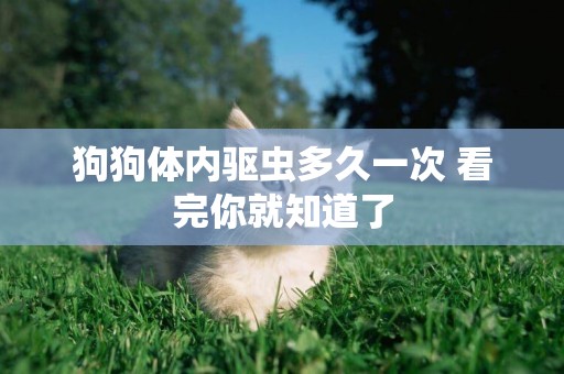 狗狗體內驅蟲多久一次 看完你就知道了