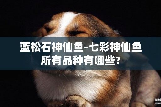 藍松石神仙魚-七彩神仙魚所有品種有哪些?