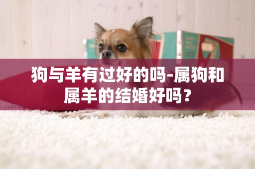 狗與羊有過好的嗎-屬狗和屬羊的結婚好嗎？