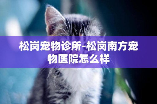 松崗寵物診所-松崗南方寵物醫院怎么樣