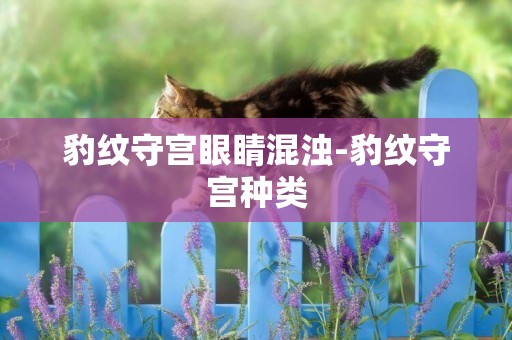 豹紋守宮眼睛混濁-豹紋守宮種類