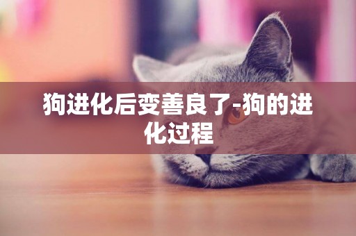 狗進化后變善良了-狗的進化過程