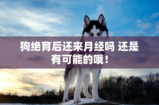 狗絕育后還來月經嗎 還是有可能的哦！