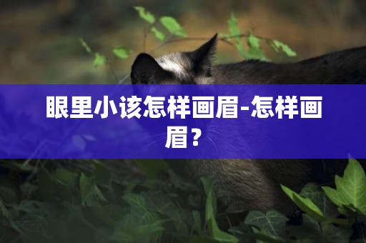眼里小該怎樣畫眉-怎樣畫眉？