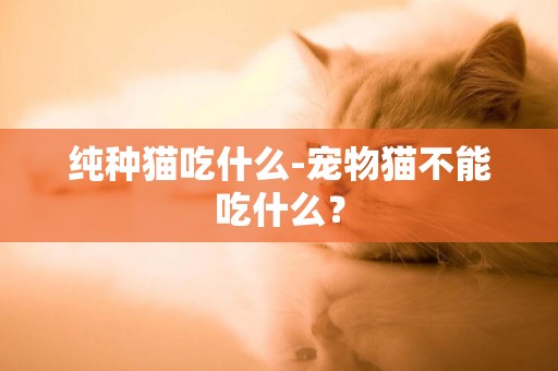 純種貓吃什么-寵物貓不能吃什么？