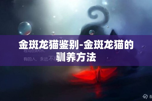 金斑龍貓鑒別-金斑龍貓的馴養方法