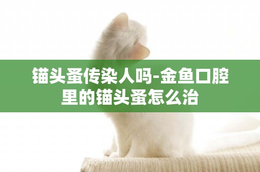 錨頭蚤傳染人嗎-金魚口腔里的錨頭蚤怎么治