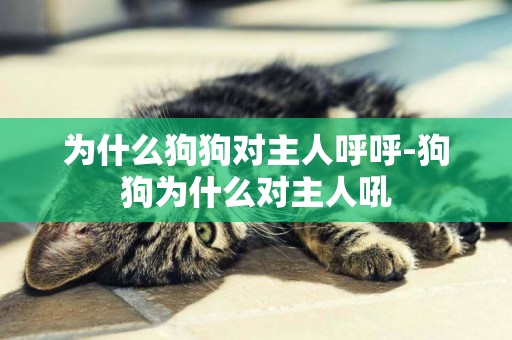 為什么狗狗對主人呼呼-狗狗為什么對主人吼
