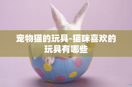 寵物貓的玩具-貓咪喜歡的玩具有哪些