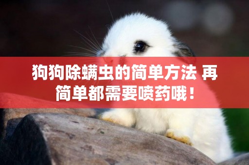狗狗除螨蟲的簡單方法 再簡單都需要噴藥哦！