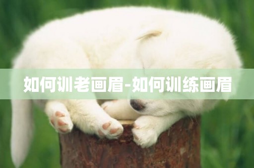 如何訓老畫眉-如何訓練畫眉