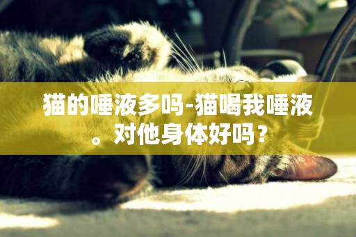 貓的唾液多嗎-貓喝我唾液。對他身體好嗎？