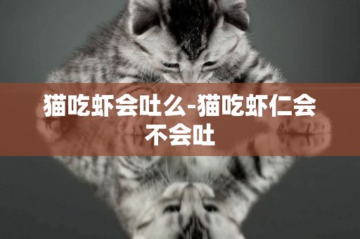 貓吃蝦會吐么-貓吃蝦仁會不會吐