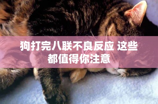 狗打完八聯不良反應 這些都值得你注意 狗打完八聯不良反應 這些都值得你注意