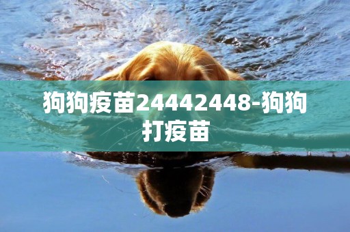 狗狗疫苗24442448-狗狗打疫苗