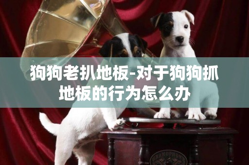 狗狗老扒地板-對于狗狗抓地板的行為怎么辦