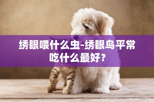 繡眼喂什么蟲-繡眼鳥平常吃什么最好？