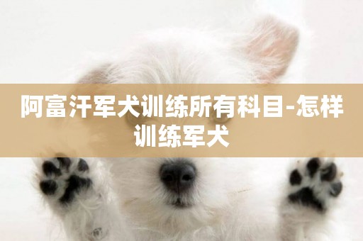 阿富汗軍犬訓練所有科目-怎樣訓練軍犬