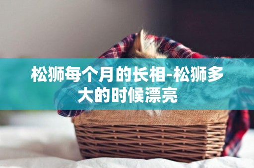 松獅每個月的長相-松獅多大的時候漂亮