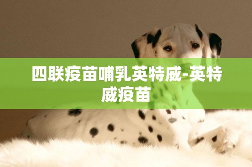 四聯疫苗哺乳英特威-英特威疫苗