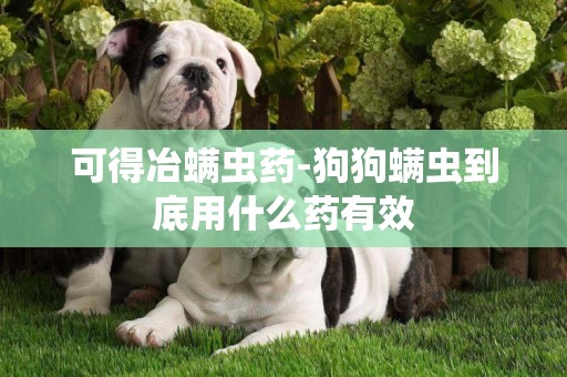 可得冶螨蟲藥-狗狗螨蟲到底用什么藥有效