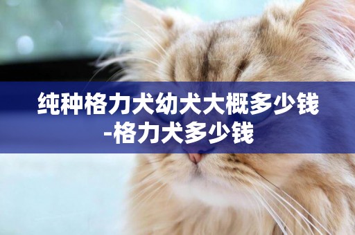 純種格力犬幼犬大概多少錢-格力犬多少錢