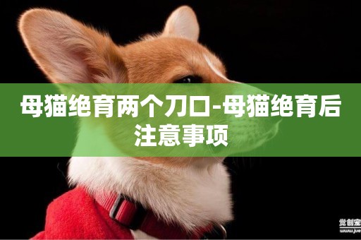 母貓絕育兩個刀口-母貓絕育后注意事項
