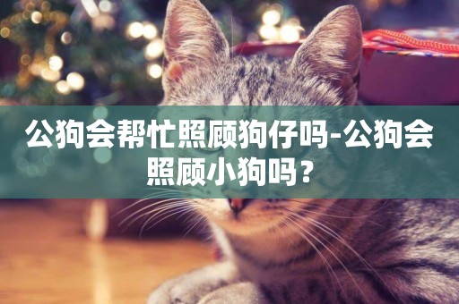 公狗會幫忙照顧狗仔嗎-公狗會照顧小狗嗎？