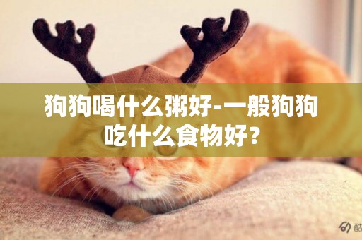 狗狗喝什么粥好-一般狗狗吃什么食物好？