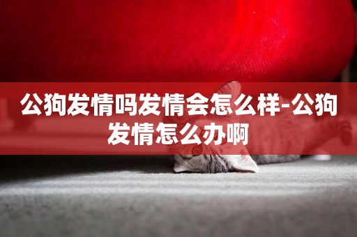 公狗發情嗎發情會怎么樣-公狗發情怎么辦啊