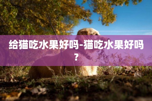 給貓吃水果好嗎-貓吃水果好嗎?